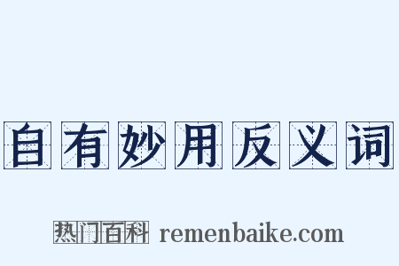 自有妙用反义词是什么意思的图片
